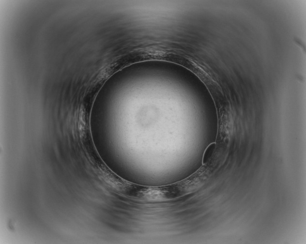 X0000098160518200804171602