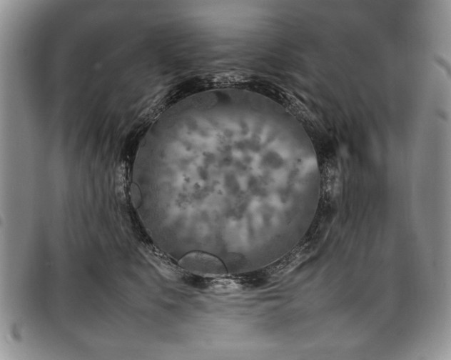 X0000098160519200804171602