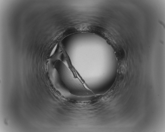 X0000098160521200804171602