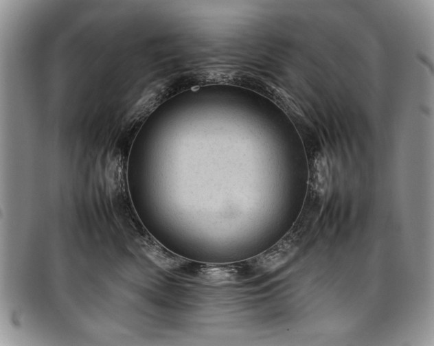 X0000098160522200804171602