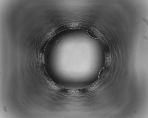 X0000098160525200804171602