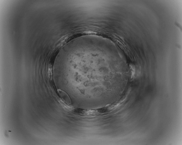 X0000098160527200804171602