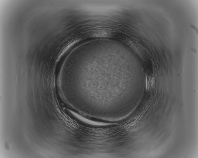 X0000098160531200804171602