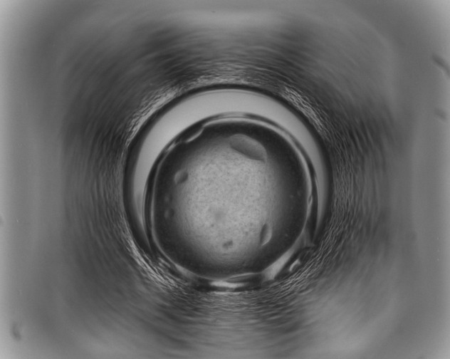 X0000098160534200804171602