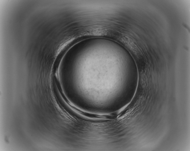 X0000098160536200804171602