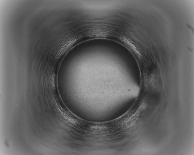X0000098160537200804171602