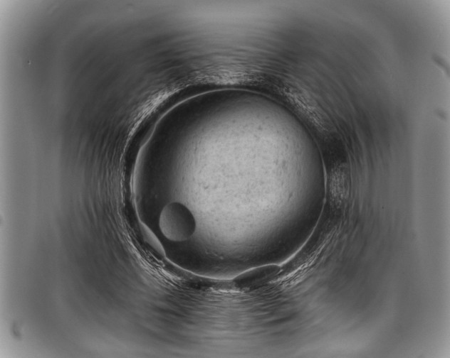 X0000098160540200804171602