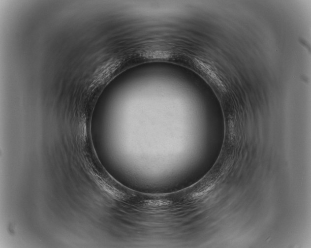 X0000098160541200804171602