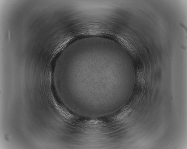 X0000098160542200804171602