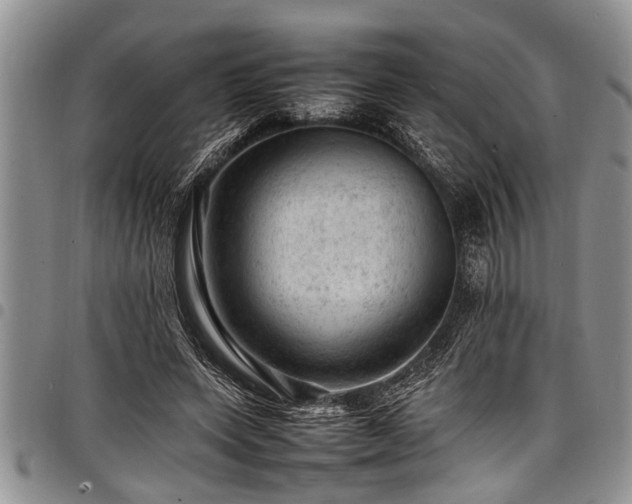 X0000098160543200804171602