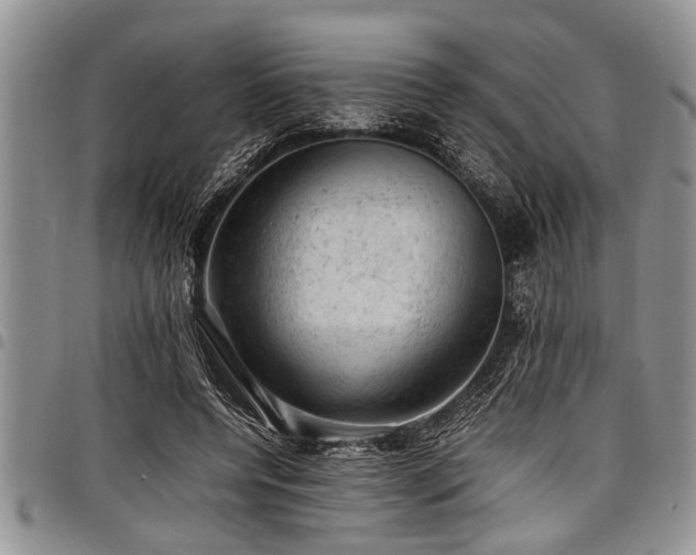 X0000098160544200804171602