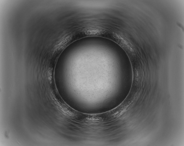 X0000098160545200804171602