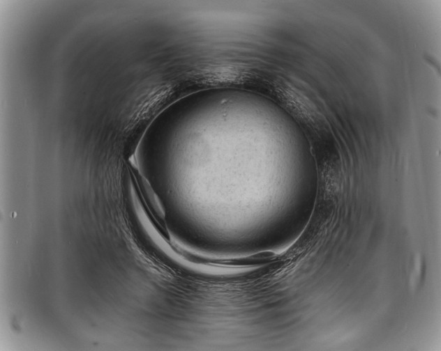 X0000098160546200804171602