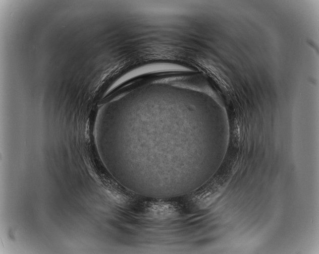 X0000098160547200804171602