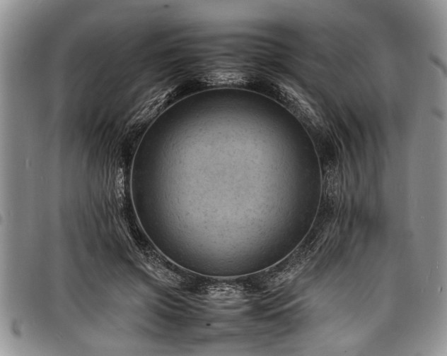 X0000098160549200804171602