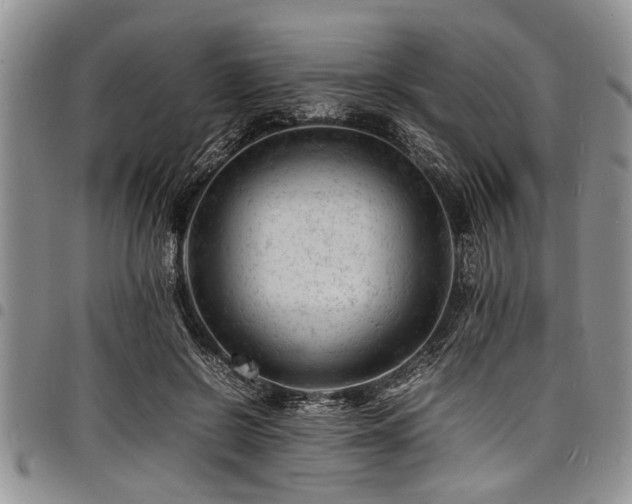 X0000098160550200804171602