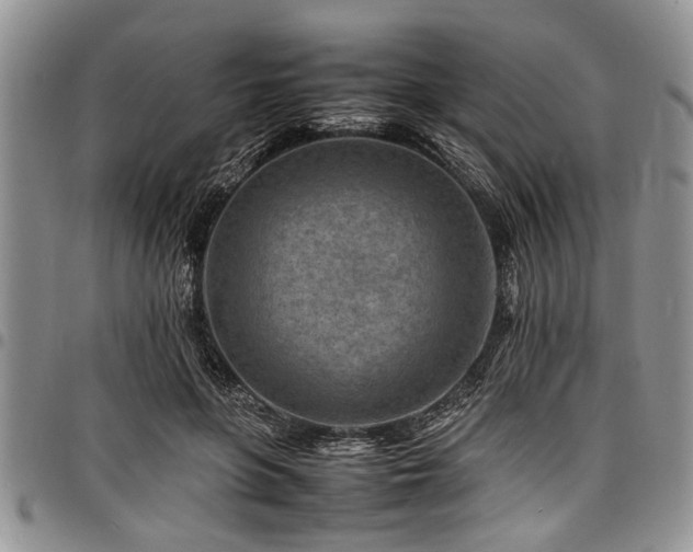 X0000098160551200804171602