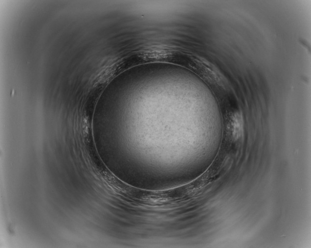 X0000098160555200804171602