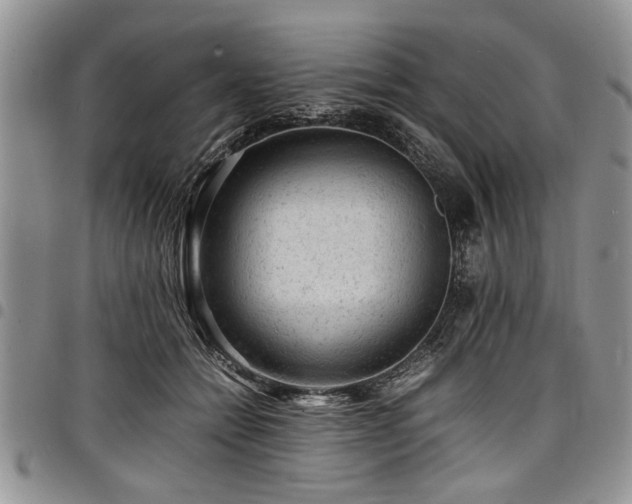 X0000098160558200804171602