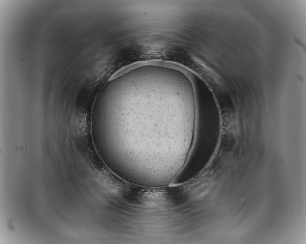 X0000098160560200804171602