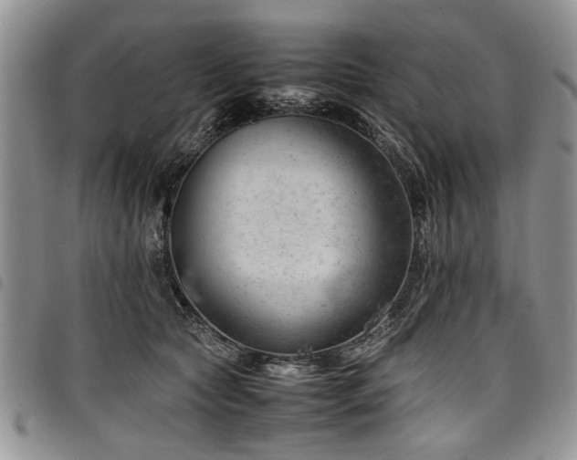 X0000098160561200804171602