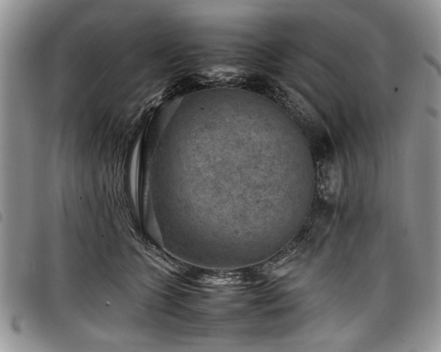 X0000098160563200804171602