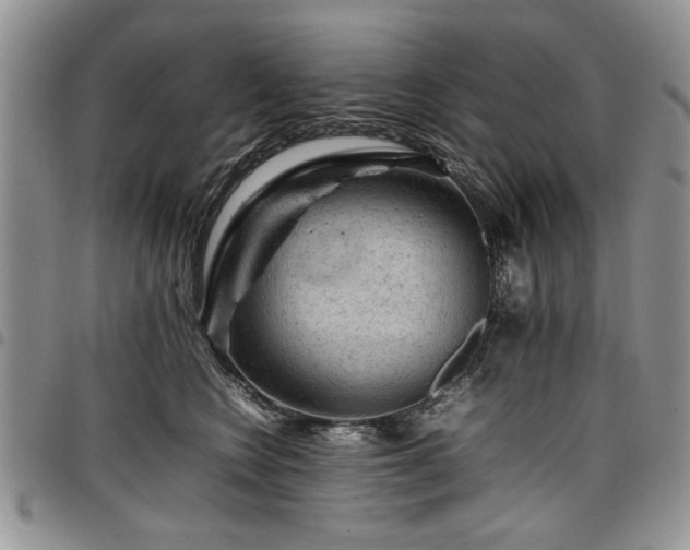 X0000098160566200804171602