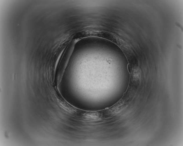X0000098160567200804171602