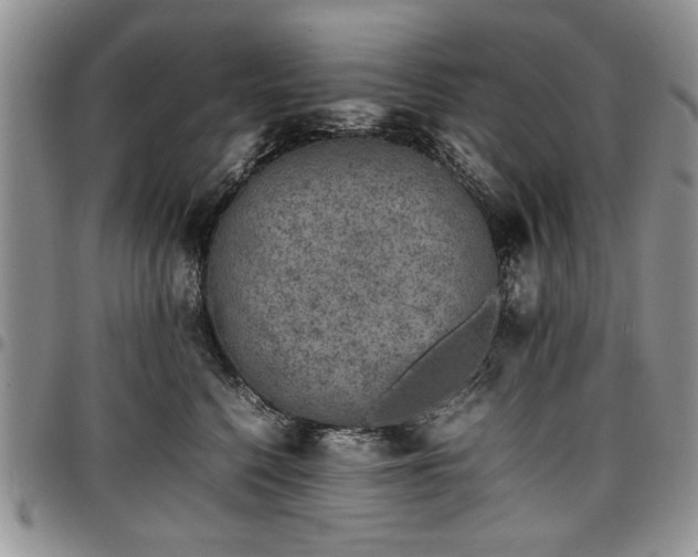 X0000098160568200804171602