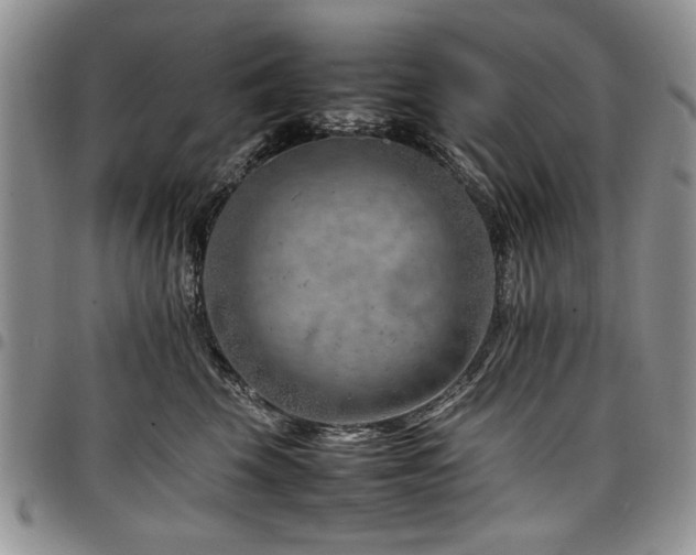 X0000098160569200804171602
