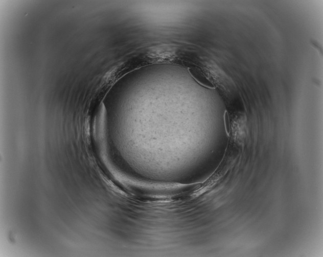 X0000098160570200804171602