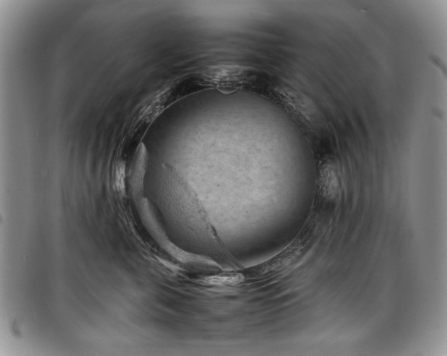 X0000098160571200804171602