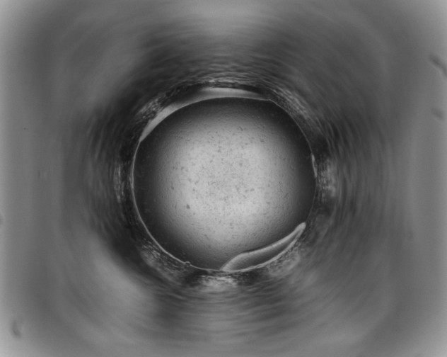 X0000098160572200804171602