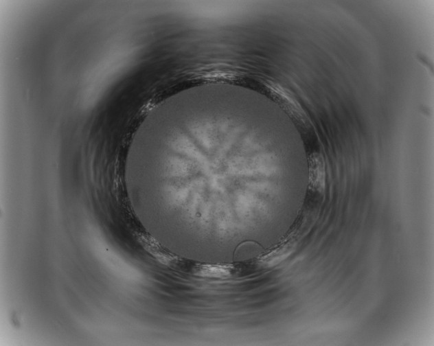 X0000098160573200804171602