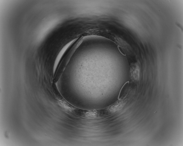 X0000098160574200804171602