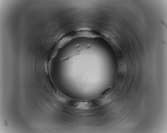X0000098160575200804171602
