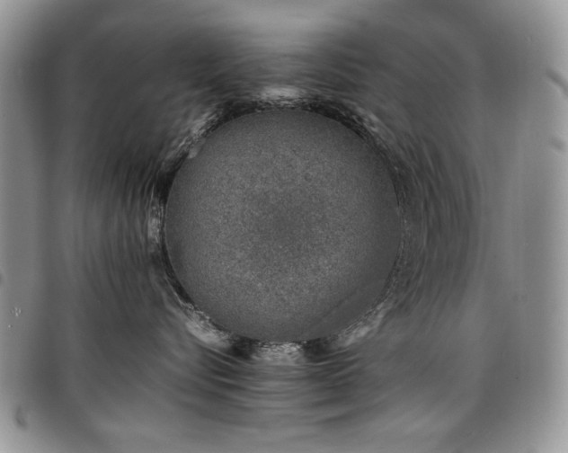 X0000098160576200804171602