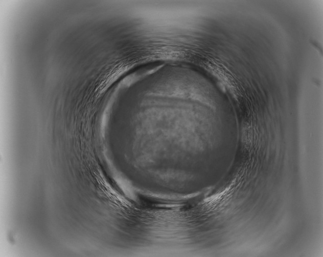 X0000098160577200804171602
