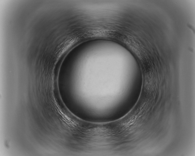 X0000098160578200804171602