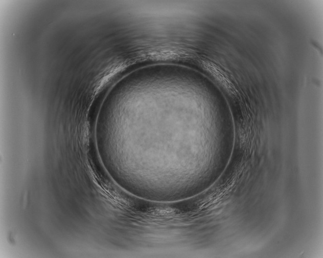 X0000098160583200804171601