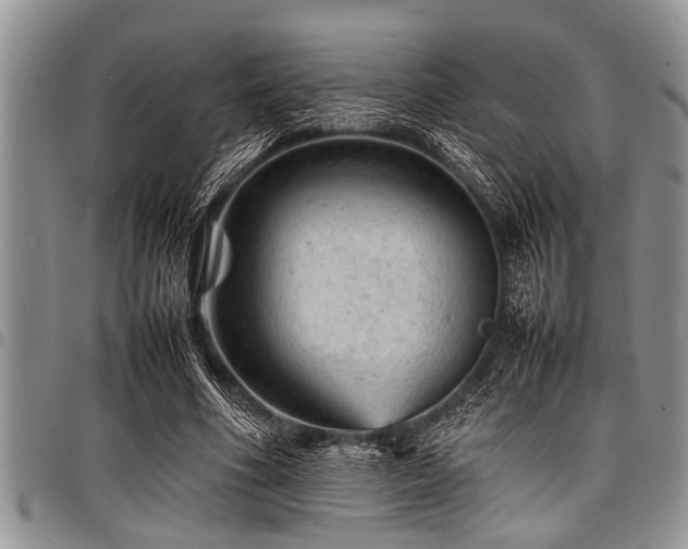 X0000098160586200804171601