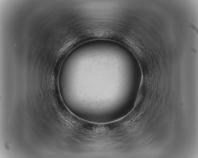 X0000098160587200804171601