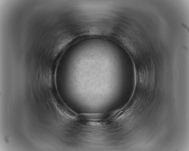 X0000098160588200804171601