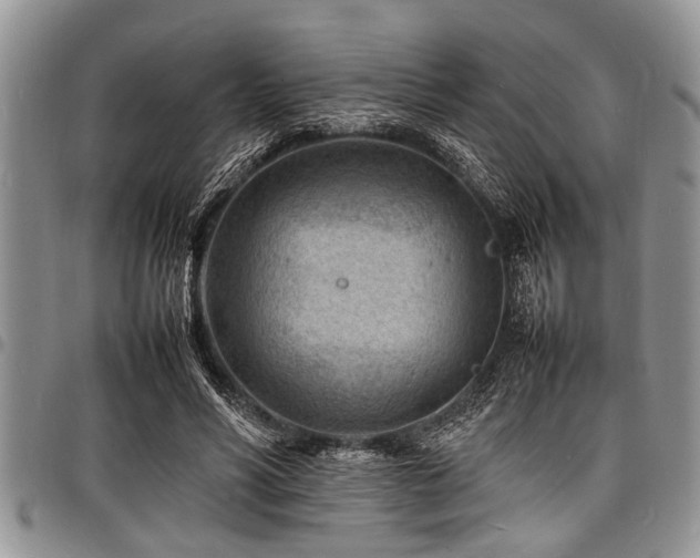 X0000098160590200804171601
