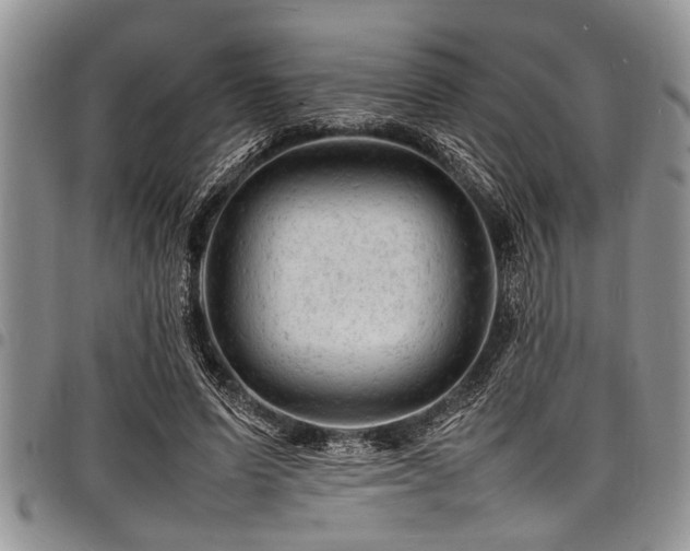 X0000098160591200804171601