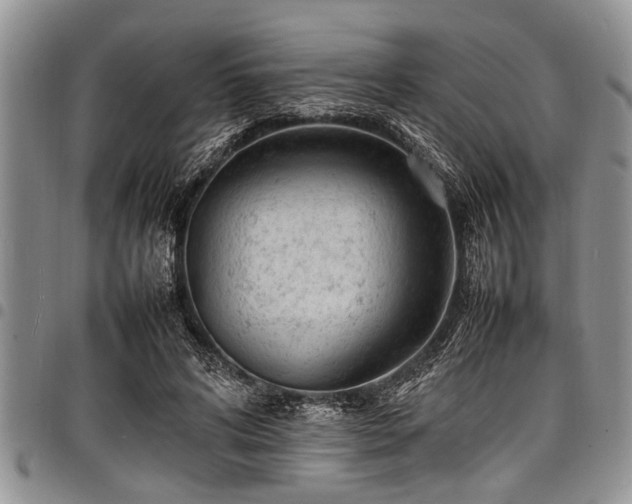 X0000098160592200804171601