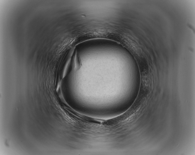 X0000098160593200804171601