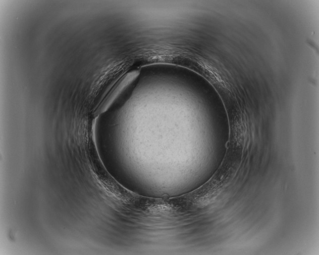 X0000098160594200804171601