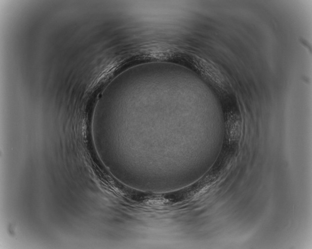 X0000098160595200804171601