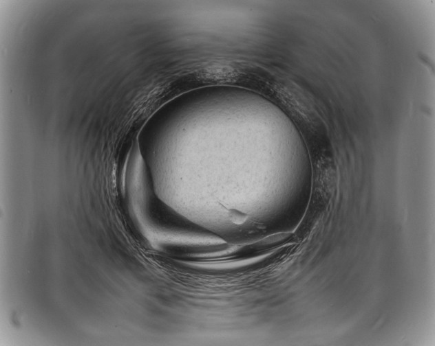X0000098160597200804171601